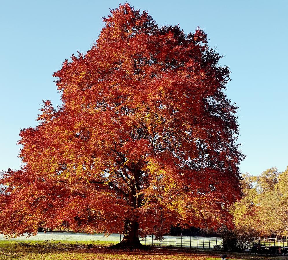 Kelham House Country Manor Hotel Newark upon Trent 외부 사진